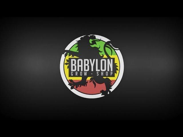 Babylon Grow Shop - Badajoz