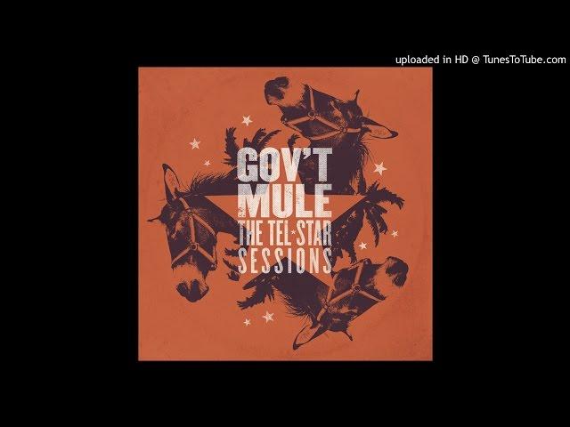 Gov't Mule - Mother Earth