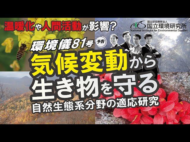 気候変動から生き物を守る 自然生態系分野の適応研究｜環境儀81号