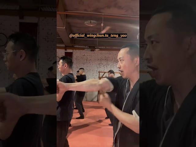 Master the Wing Chun Training Routine: Unleash Your Inner Strength  - Master Tu Tengyao