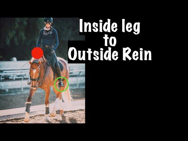 The Key to Dressage - Inside leg to Outside Rein