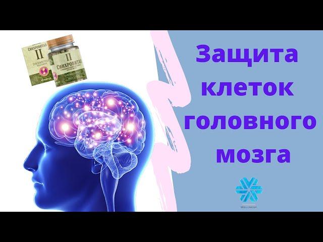 Защита клеток головного мозга Синхровитал 2 Сибирское здоровье Siberian Wellness