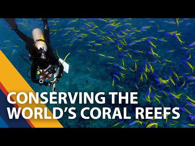 Marine conservation research