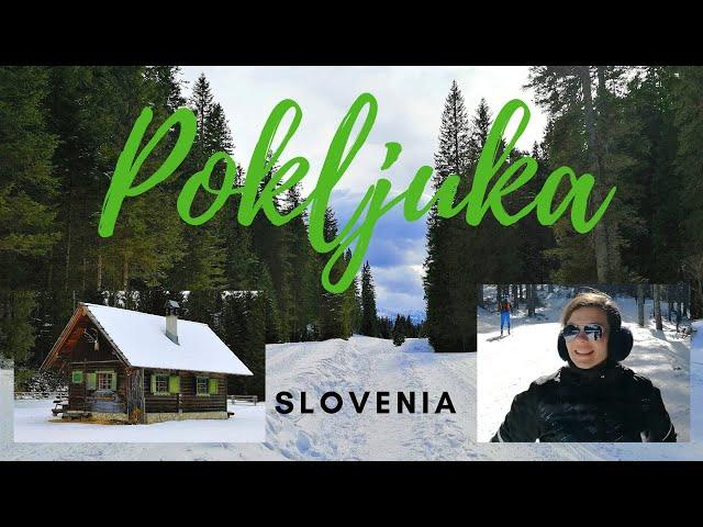 POKLJUKA - SLOVENIA 2020