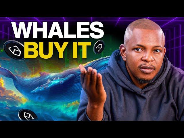 Whales Are Buying Ethena – Should You?