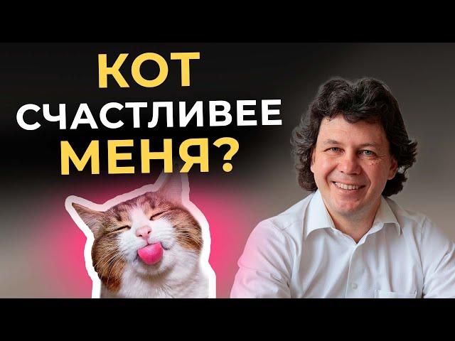Как стать счастливее кота: разбуди ВЫСШУЮ ЧАСТЬ сознания и живи СЧАСТЛИВО!  #сознание  #счастье