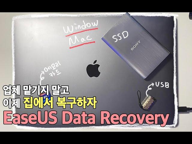 집에서 간편하게 데이터 복구할 수 있습니다 진짜 쉬워요 | EaseUS Data Recovery