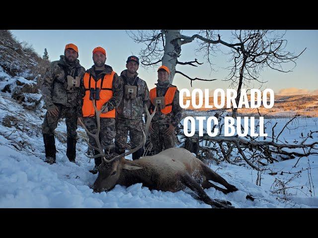 DIY Backcountry Elk Hunt | Untamed Adrenaline