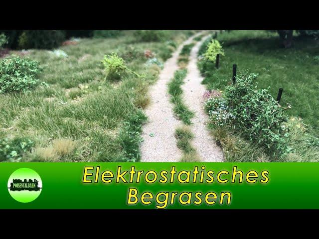 (112) Elektrostatisches Begrasen