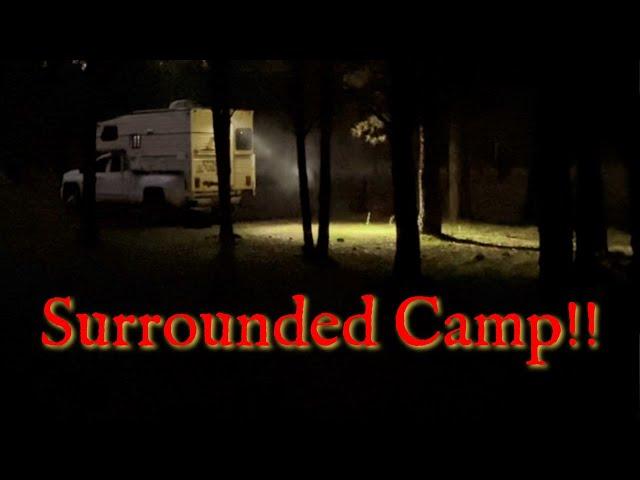 Coyotes HOWLING And Surround Truck Camper