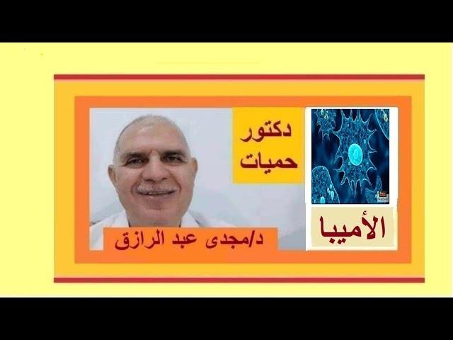 الأميبا وأعراضها