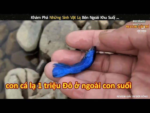 Khám Phá Những Sinh Vật Lạ Bên Ngoài Khu Suối || review giải trí