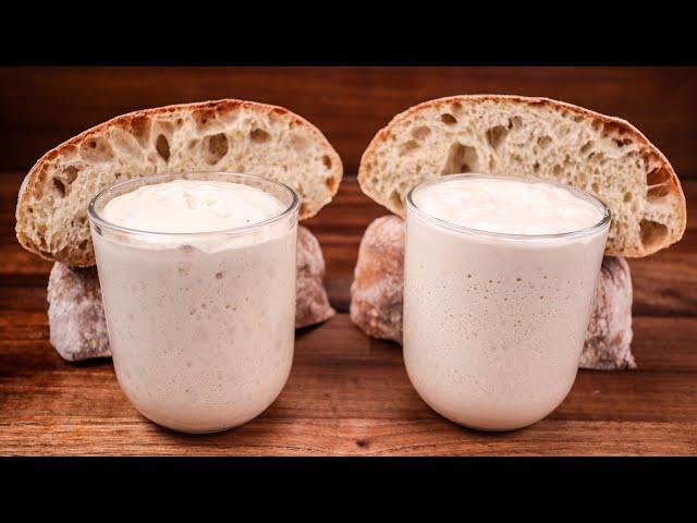 Sourdough Starter vs Commercial Yeast | Can You Get Comparable Results?