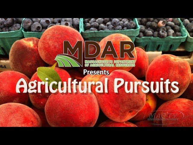 Agricultural Pursuits - Episode 1: State Apiary Program