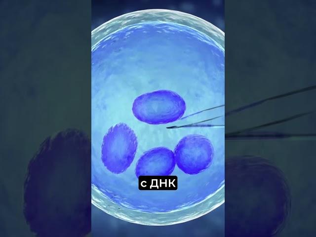 Невероятно! ребёнок от трёх родителей? #новости #события #новостимира #мировыеновости