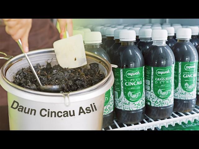 Bagaimana Air & Jeli CINCAU Dibuat? | Kilang Cincau Aywah, Mersing