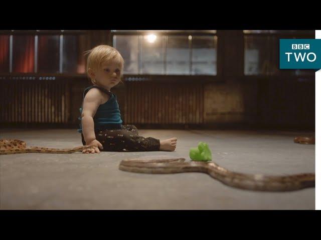 Why aren't babies afraid of snakes? - The Human Body: Secrets of Your Life Revealed | BBC Two