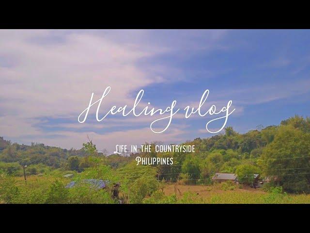 Healing Vlog | Life in the Philippine Countryside | ghibli-inspired, Relaxing Silent vlog