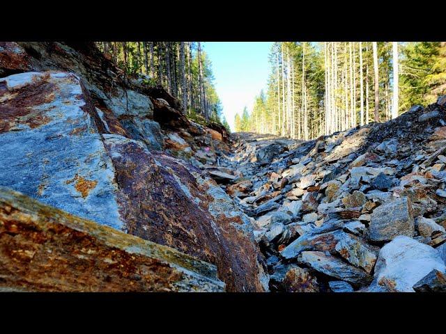 Loading Up Vein Chunks Loggers Exposed After This Road Was Built!