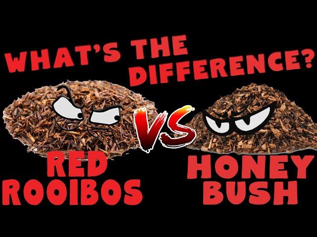 What is the difference between Red Rooibos & Honeybush tea?