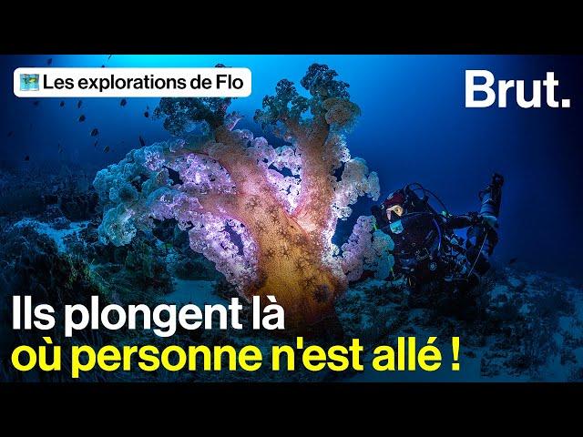 J'ai suivi l'explorateur Laurent Ballesta, photographe sous-marin, pour sa mission au bout du monde