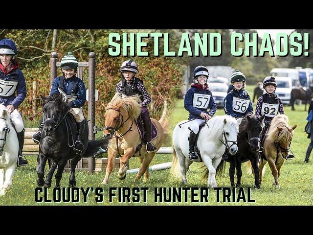 SHETLAND CHAOS AT CLOUDY'S FIRST HUNTER TRIAL!
