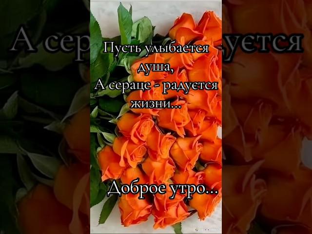 С Добрым утром Прекрасного настроения и тёплого солнечного дня 
