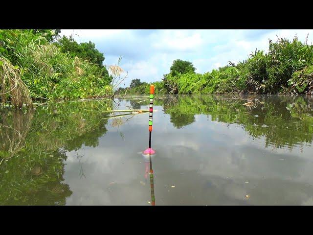 cara ampuh 99% hindari ikan kecil di spot mancing nila favorit mu