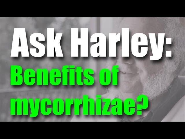 Ask Harley | Benefits of Mycorrhizae