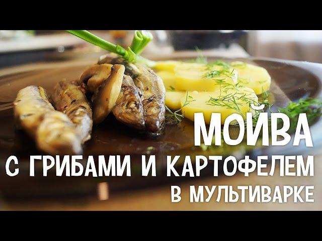 Мойва с грибами и картофелем в мультиварке. Рецепты мойвы в мультиварке