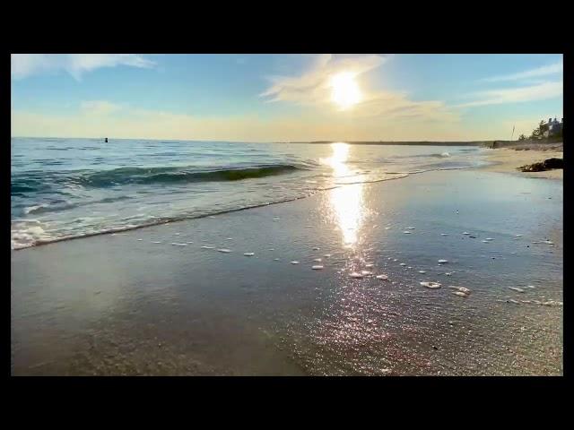 Ocean Waves Break on a Sunny Beach at Chatham, Cape Cod : Stock Footage #146d