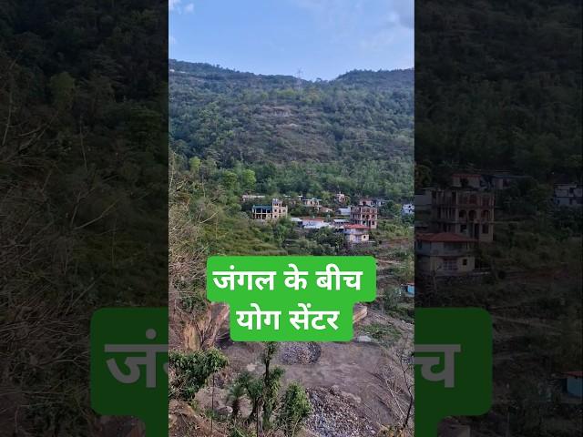 #jungle #nature #yoga #meditation #center #rishikesh #uttarakhand