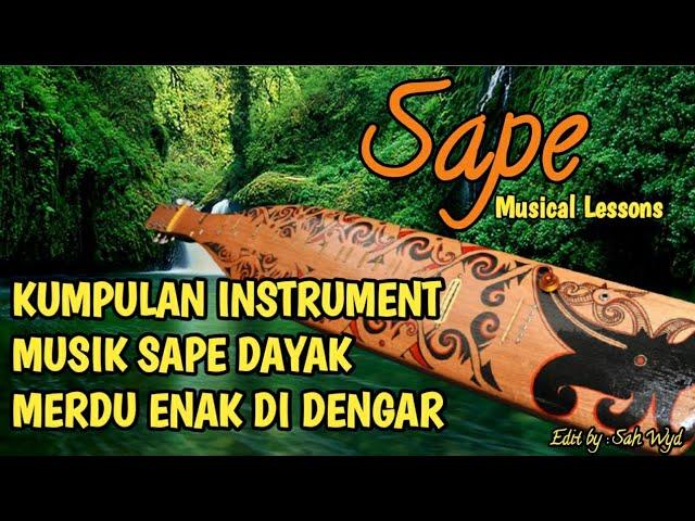 SAPE INSTRUMENT MUSIK DAYAK MERDU ENAK DI DENGAR