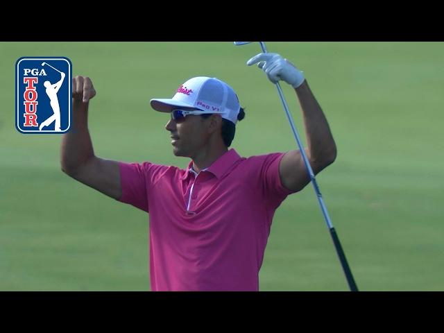 Rafa Cabrera Bello makes first-ever albatross on 16 at THE PLAYERS