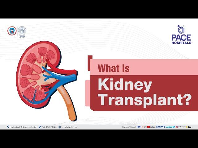 What is Kidney Transplant? | PACE Hospitals #shortvideo #kidneytransplant