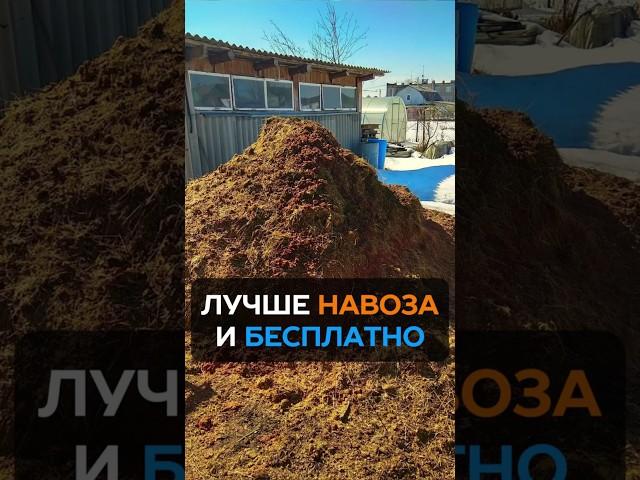 Одна ложка на ведро воды: секрет плодородия почвы #огород #дача #почва #удобрение