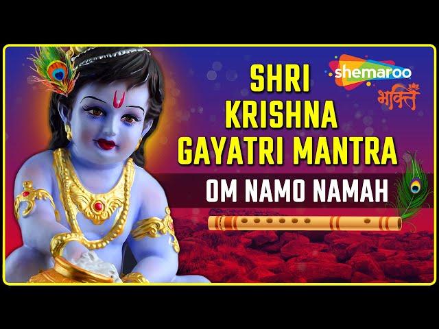 Shri Krishna Gayatri Mantra : Om Namo Namah | ॐ नमो  नमः | Krishna Bhajan