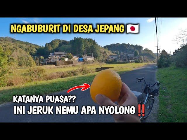 NGABUBURIT SAMBIL GOWES DI PELOSOK JEPANG