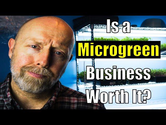 4 Reasons Why I'm Not Selling Microgreens Anymore