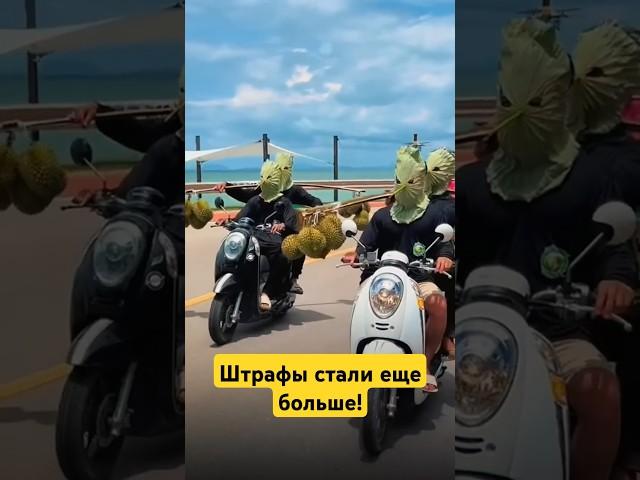 Сколько придется отдать за езду без шлема в Таиланде?