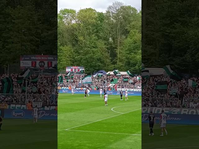 Krasser Support der Preußen Münster Fans in Köln I 27.04.24