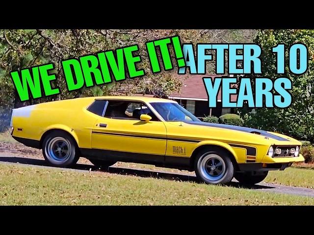 ~Driving the Mach 1 After sitting for 10 Years