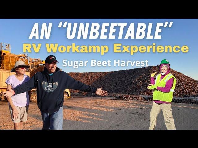 RV Workamping the Sugar Beet Harvest