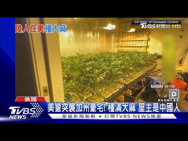 美警突襲加州豪宅! 種滿大麻 屋主是中國人｜TVBS新聞 @TVBSNEWS01