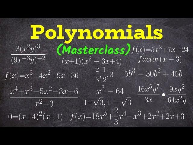 Everything You Must Know About Polynomials