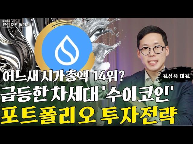 시총 14위 차세대 알트코인 수이 코인 포트폴리오 투자전략 | 표상록 대표