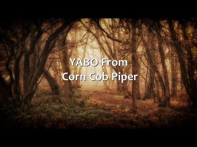 YTPC: YAPO from Corn Cob Piper