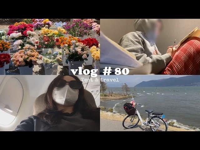 vlog  80 疯狂复习/临时抱佛教/去有风的地方/云南6日游/大理