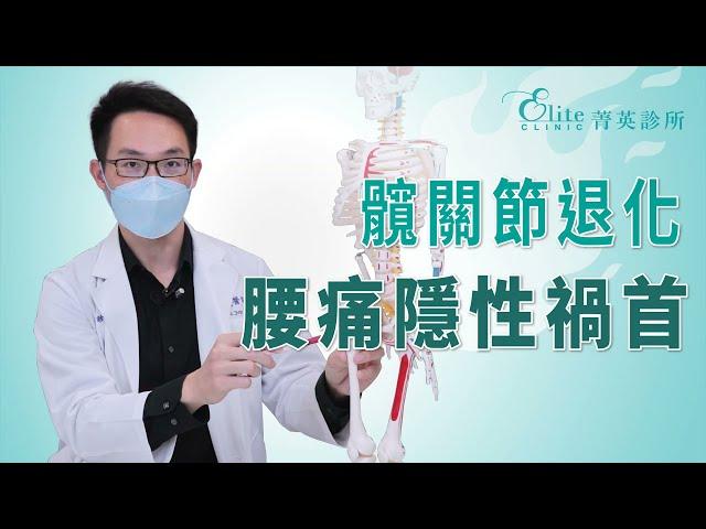 髖關節退化 腰痛隱性禍首｜尤稚凱醫師