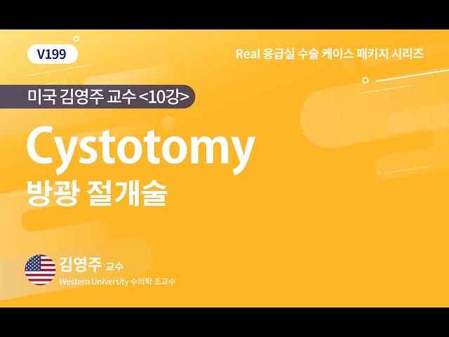 [베터플릭스] Cystotomy 방광절개술_수술